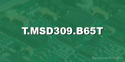 t.msd309.b65t software